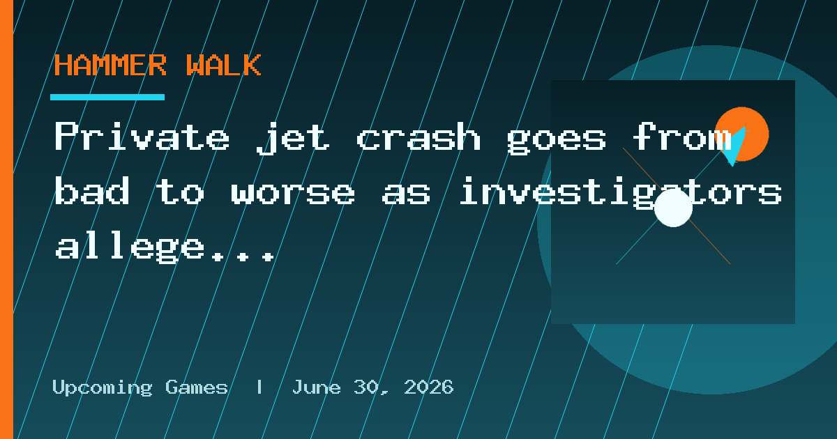 Private jet crash goes from bad to worse as investigators allege both pilots
